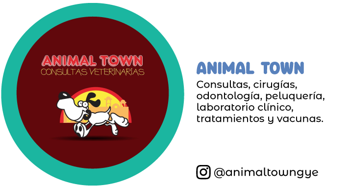 animaltown