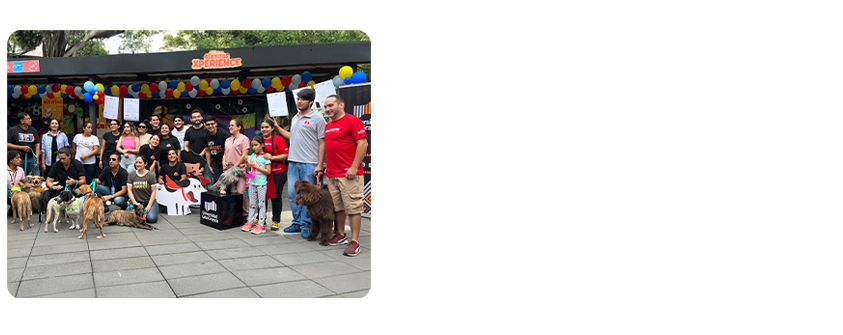 huellitas-10e